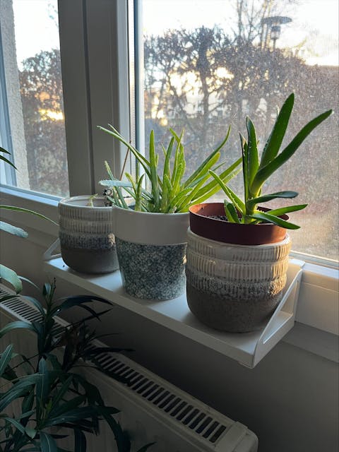 frischluft Fensterbrett