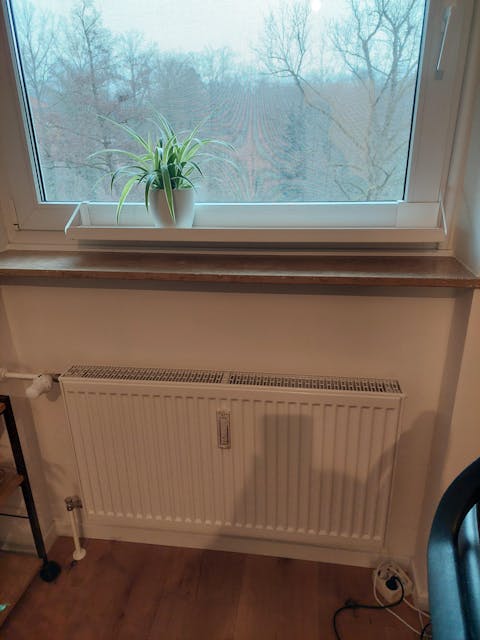 frischluft Fensterbrett