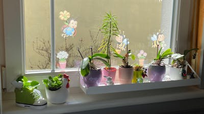 frischluft Fensterbrett