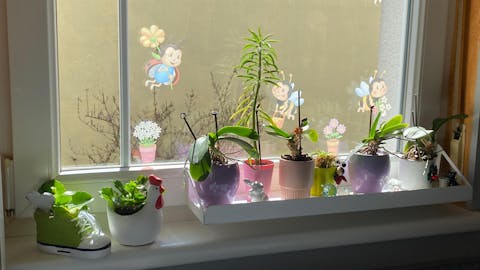 frischluft Fensterbrett