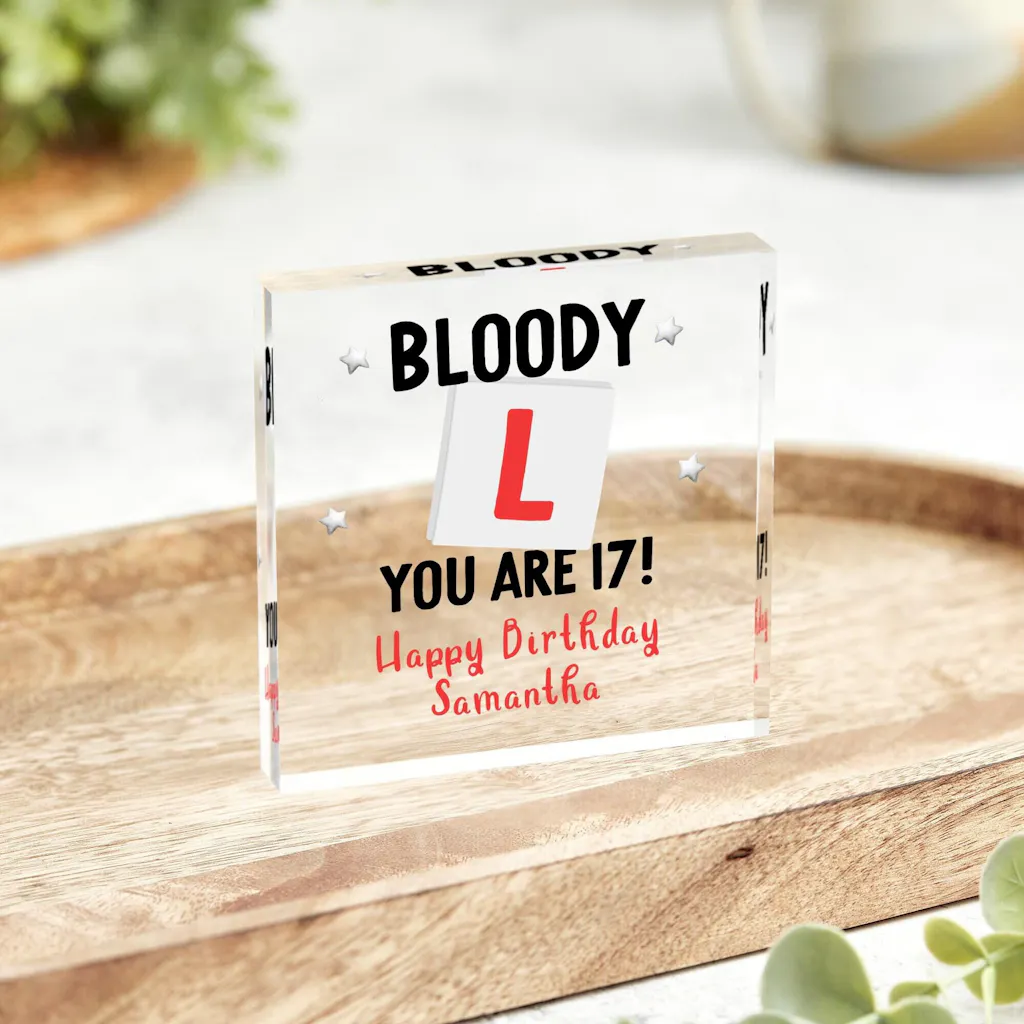 Personalised Funny 17th Birthday Gift Plaque