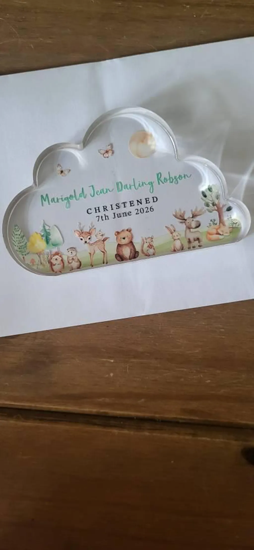 Personalised Woodland Cloud Baby Plaque Christening Gift