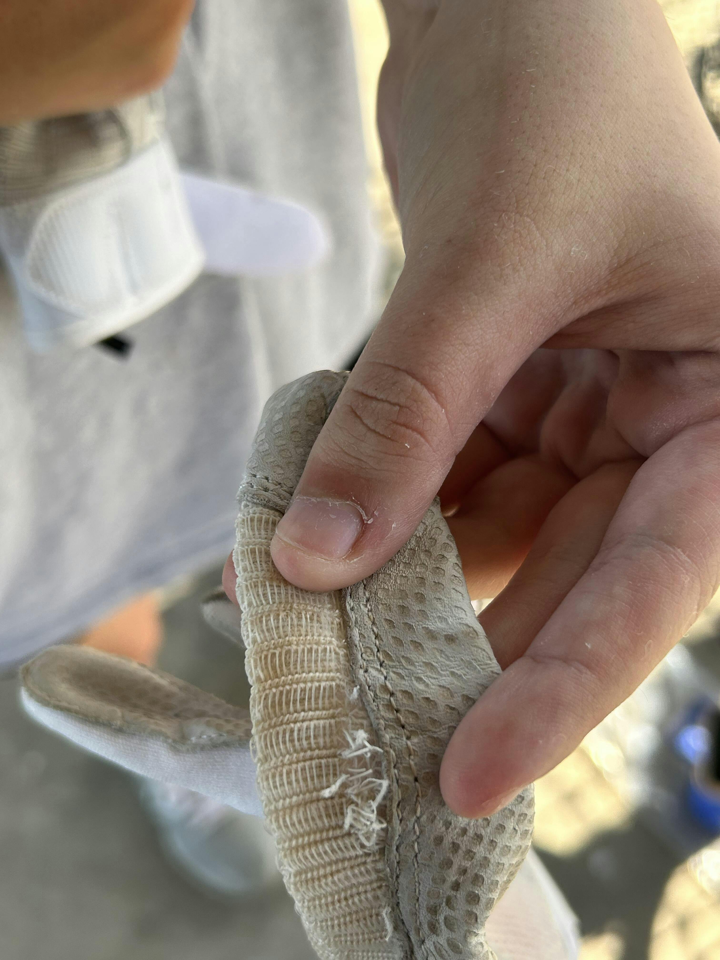 CombatX Batting Gloves SPECIAL DEAL Frost Gear Sports