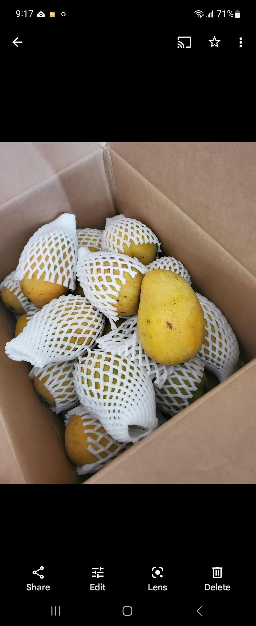 PREORDER Mingolo Mango Fruit Hunters