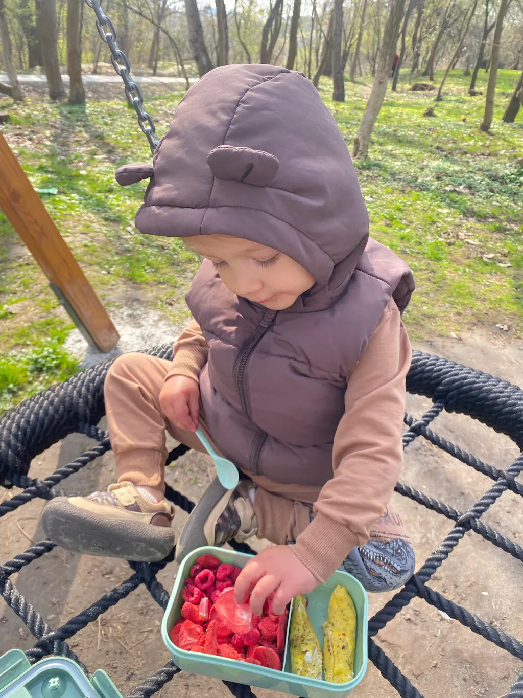 МАЛИНА СУБЛІМОВАНА