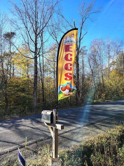 Eggs For Sale Sign Flag Kit - 8ft Farm Fresh Eggs Feather Flag with Pole and Stake