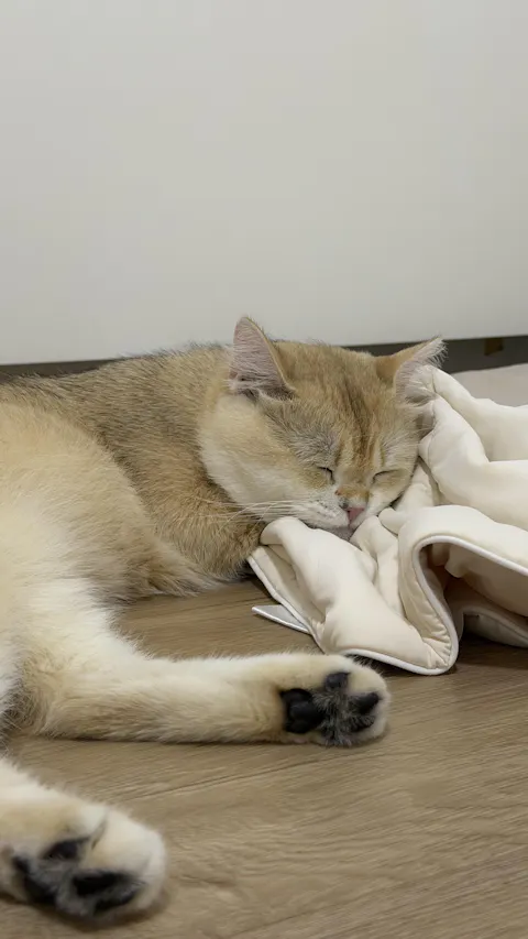 Classic Cloud Blanket
