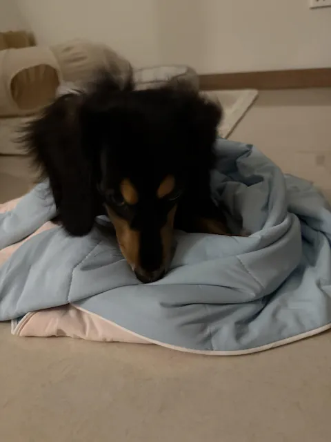 Classic Cloud Blanket