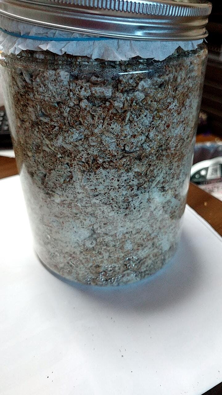 ヒラタケ菌糸ブロック：シイ・ナラ混材・粗粒子 – 深山農園