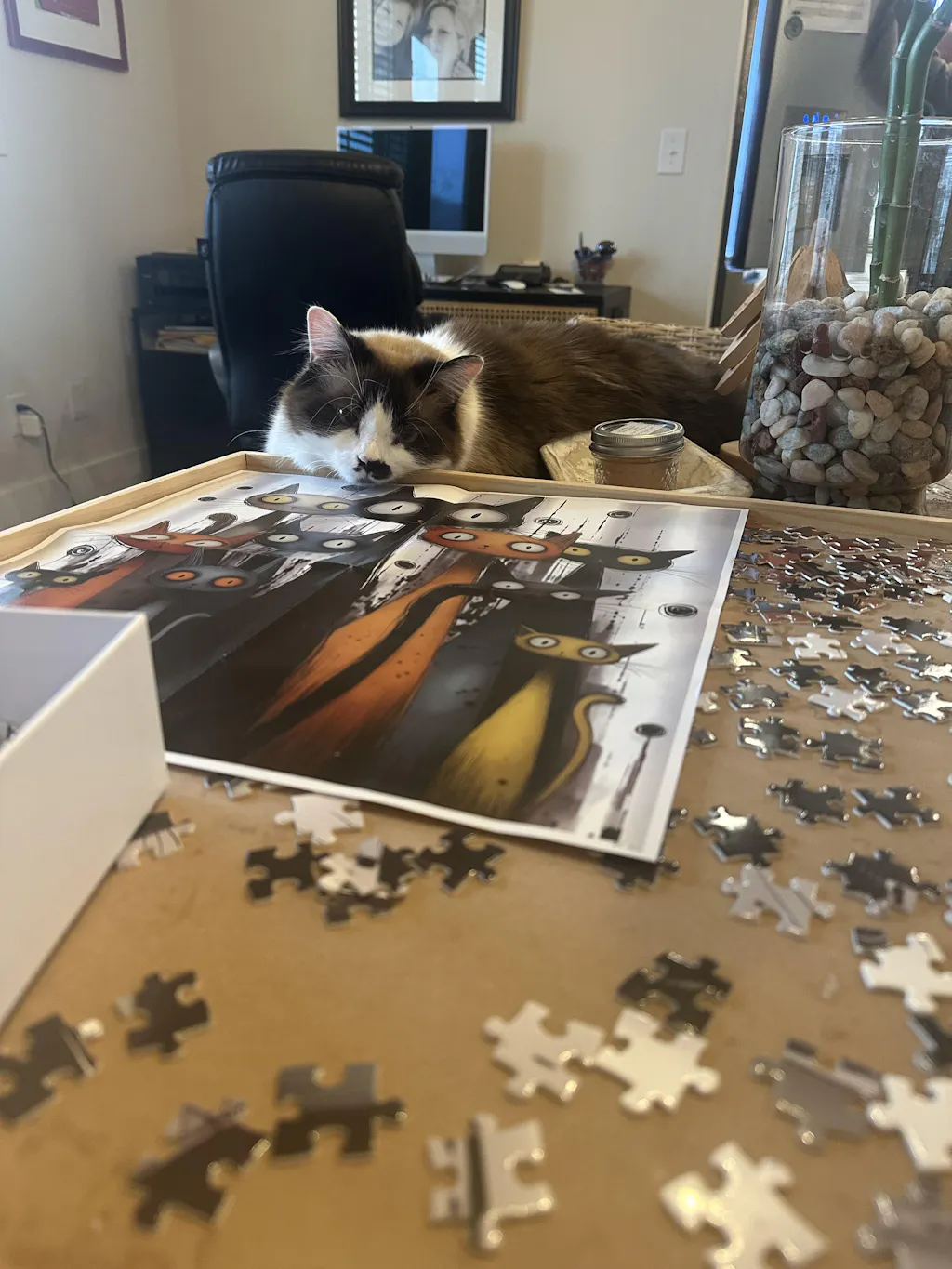 Whimsy Cats Jigsaw Puzzle 1000 Pieces