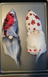 Silver Cardinal Sparrow Hoffman Digital - Shannon Fabrics Cuddle Minky