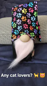 Black Cat Paws - Timeless Treasures Cotton