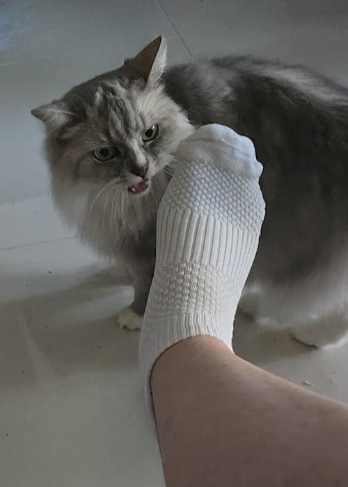 White Ankle Length Compression Socks