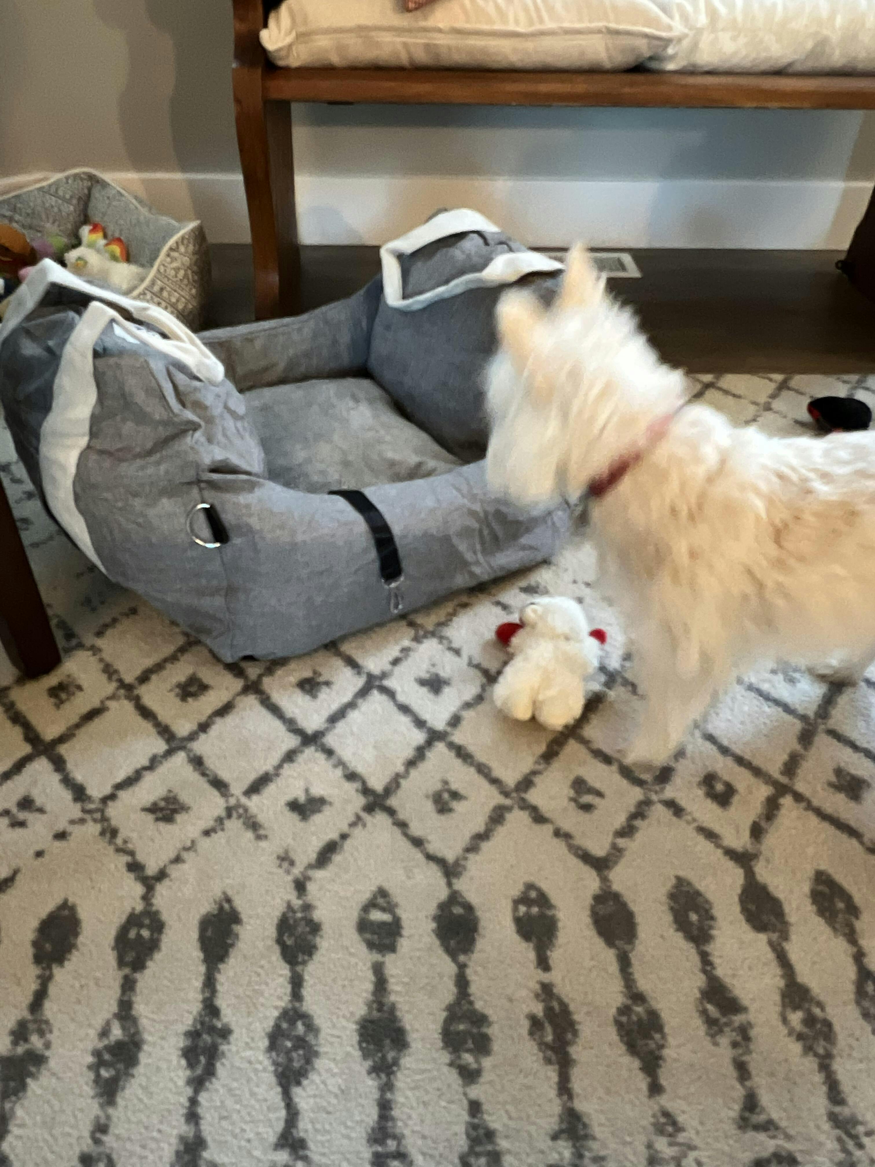 Dog Car Seat Bed First Class FunnyFuzzy FUNNYFUZZY