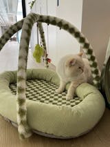 Shake Toys Pet Bed Cat Gaming Mat Cat Bed - FunnyFuzzy