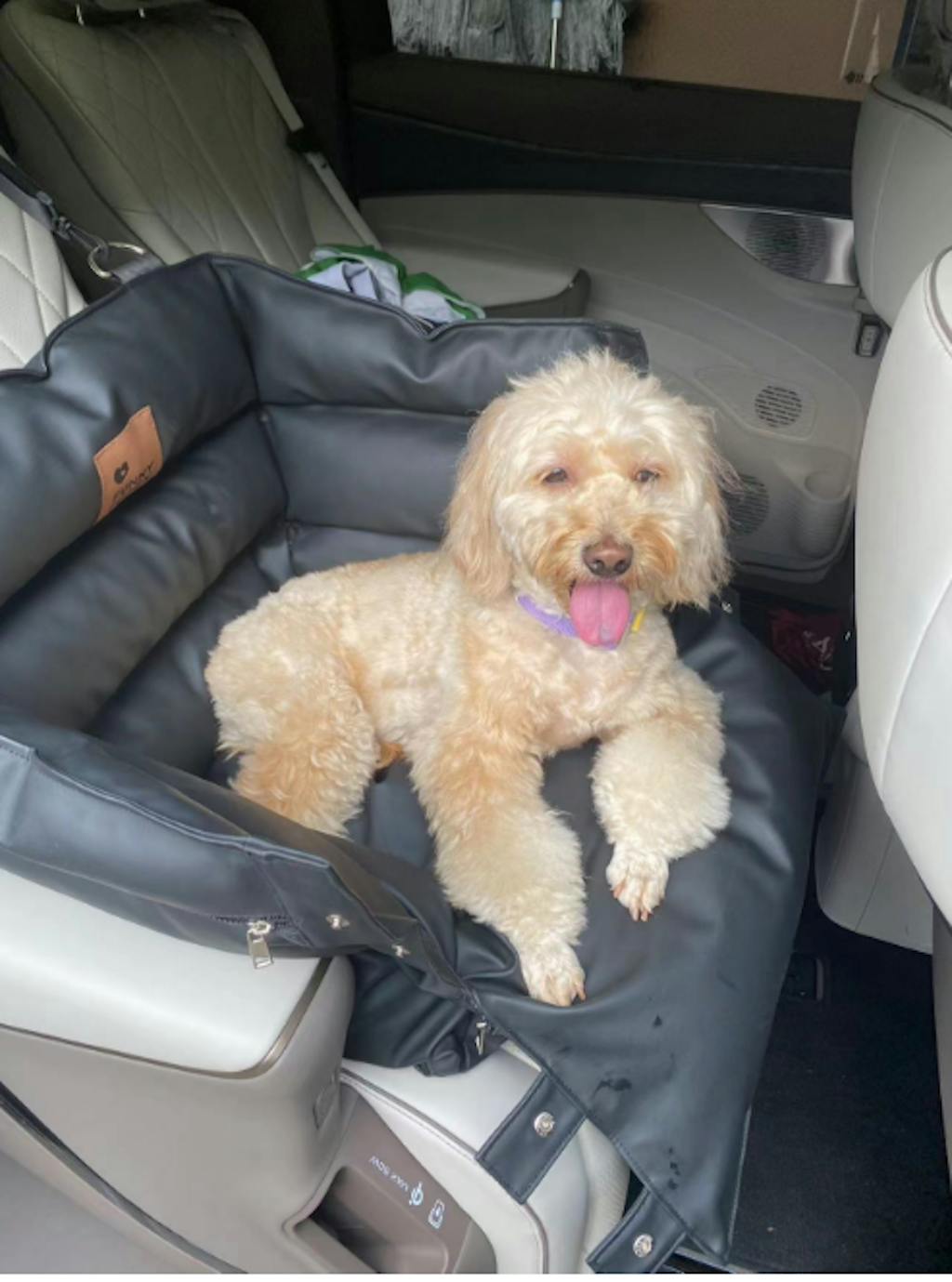 Full Leather Dog Pet Car Seat Bed - Fort - FunnyFuzzy