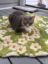 Wonderland Daisy Carpet Pet Mat Pet Rug - FunnyFuzzy