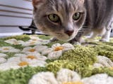 Greenery Forest Heterotype Plush Carpet Pet Mat Pet Rug - FunnyFuzzy