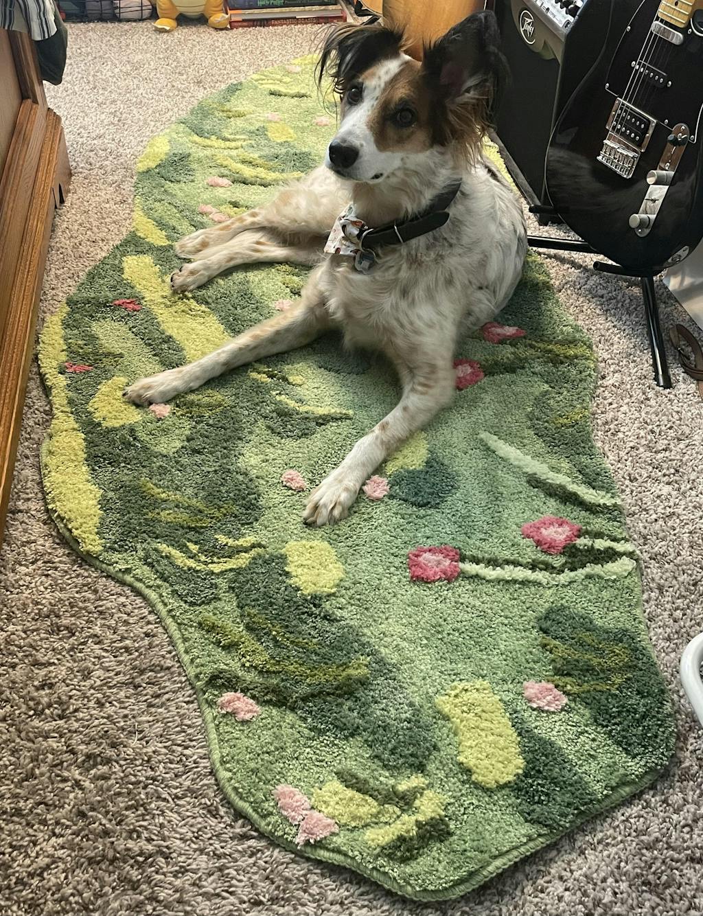 Luxury Moss Rug Hand Tufted Wool Pet Mat Pet Rug FunnyFuzzy