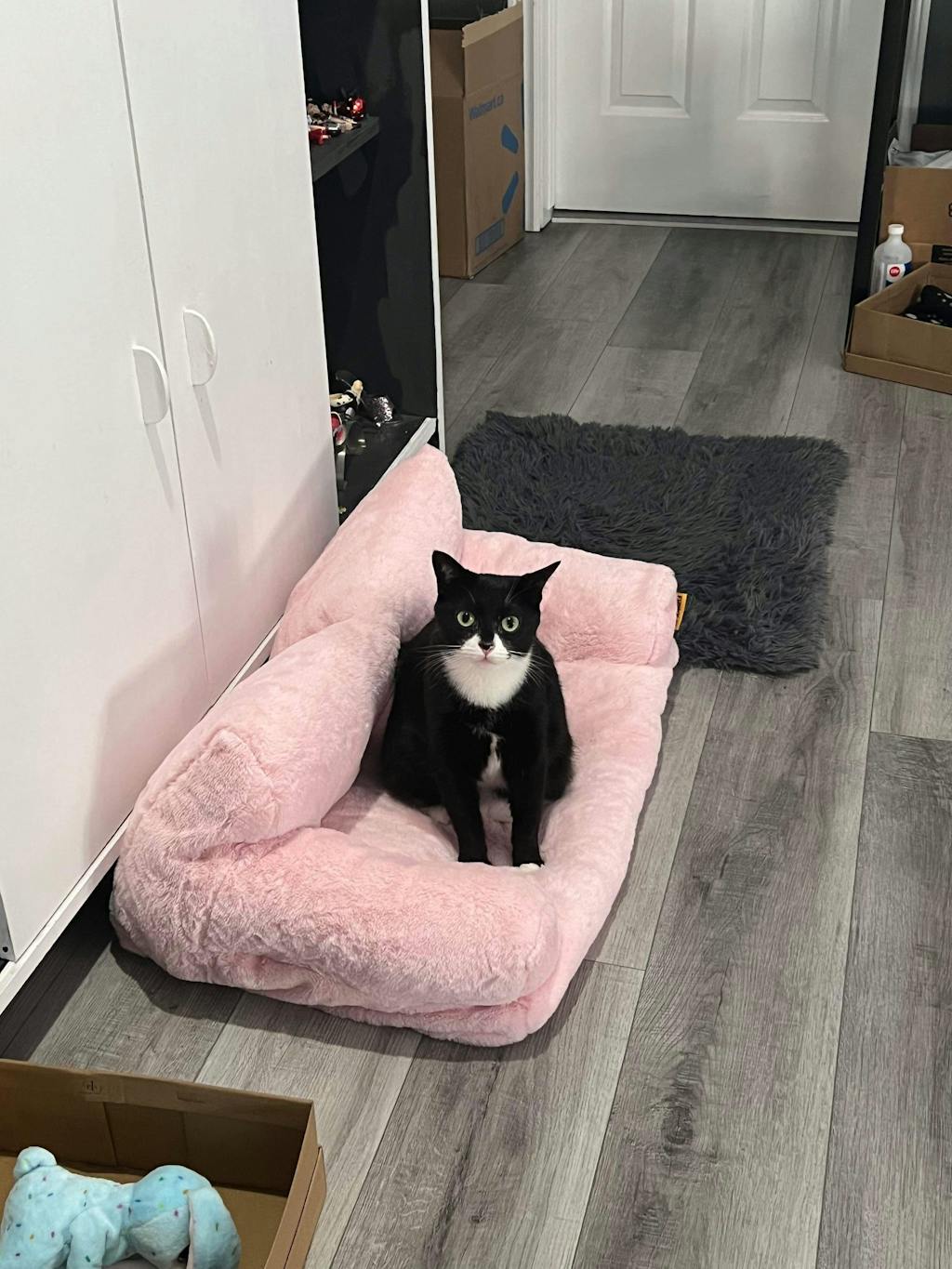 Vintage Leisure Diamond Cat Sofa Bed FunnyFuzzy