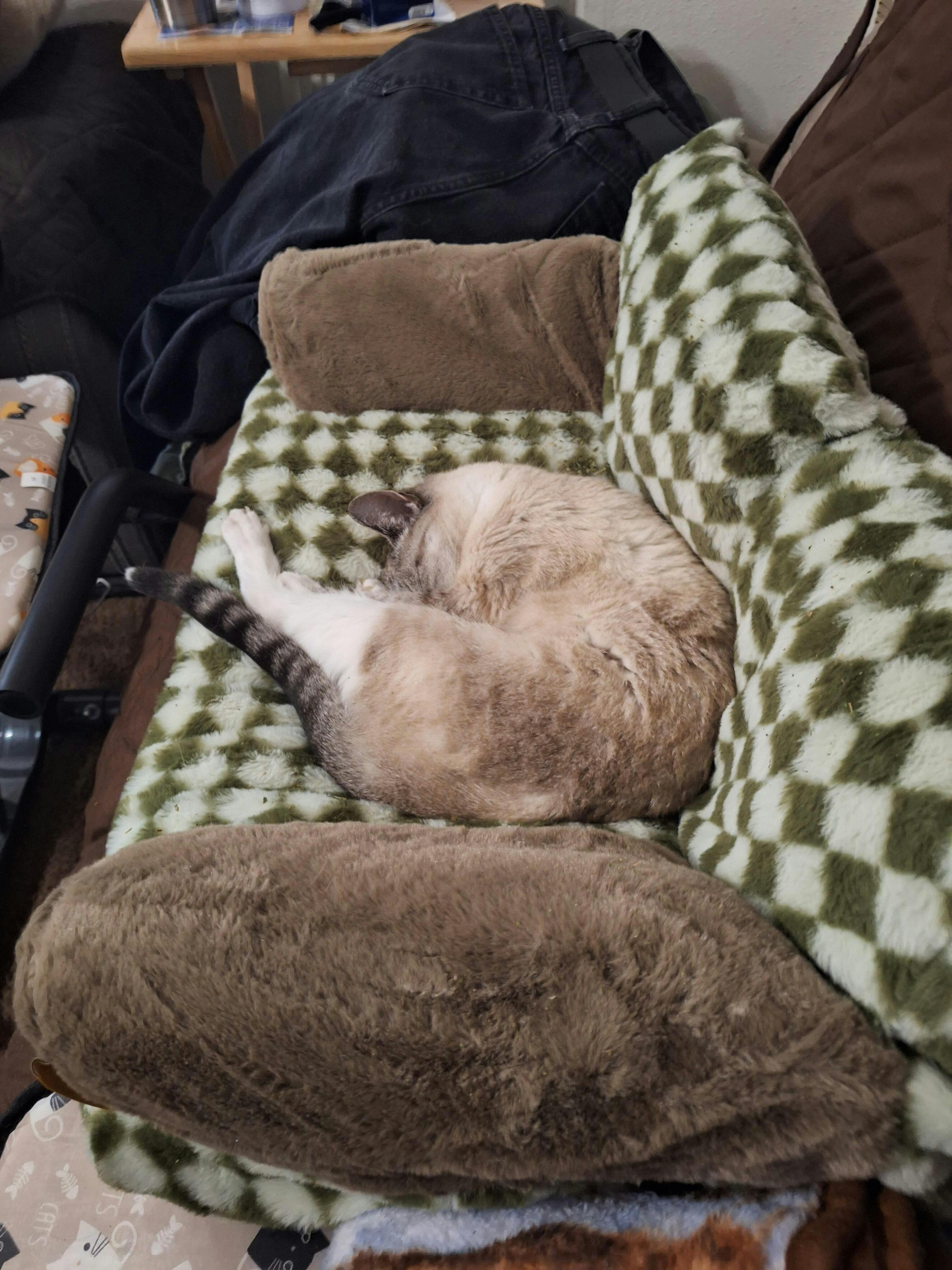 Vintage Leisure Diamond Cat Sofa Bed FunnyFuzzy