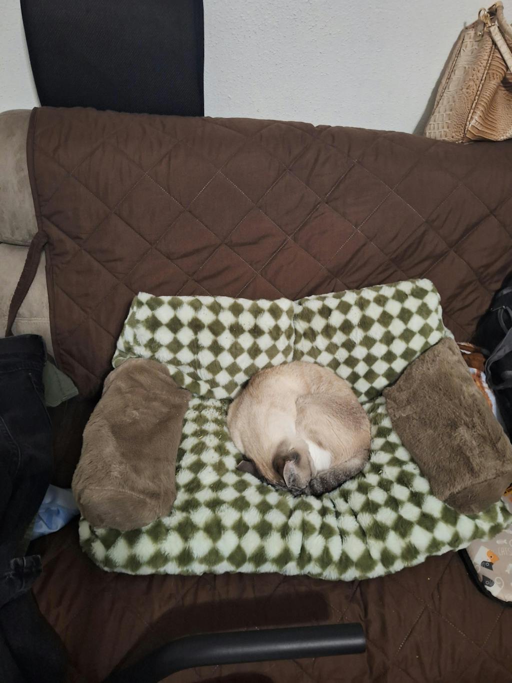 Vintage Leisure Diamond Cat Sofa Bed FunnyFuzzy