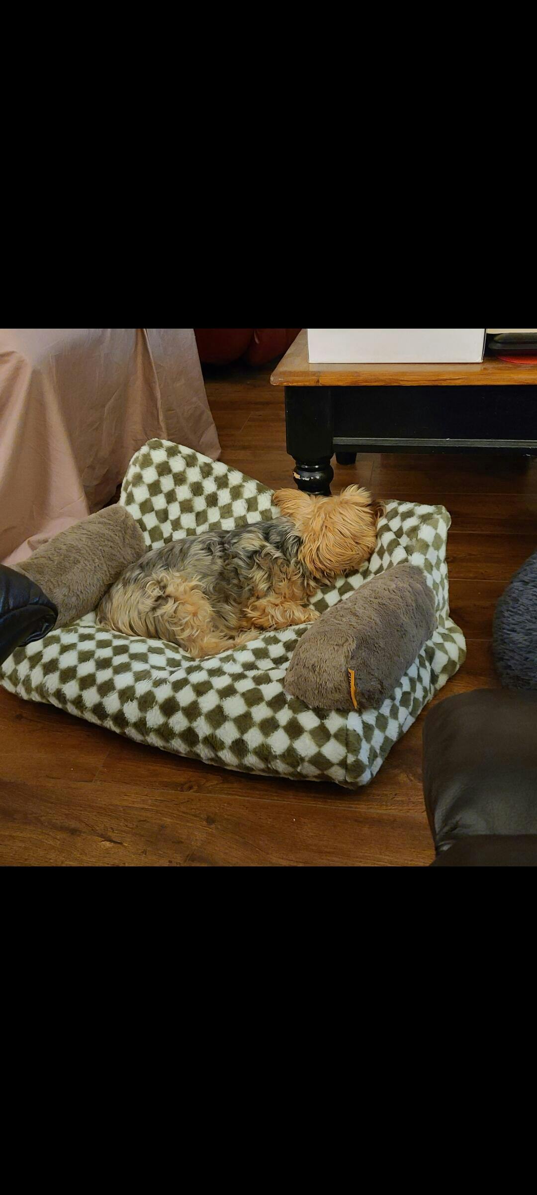 Vintage Leisure Diamond Cat Sofa Bed FunnyFuzzy