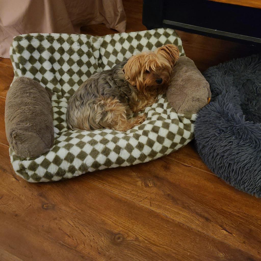 Vintage Leisure Diamond Cat Sofa Bed FunnyFuzzy