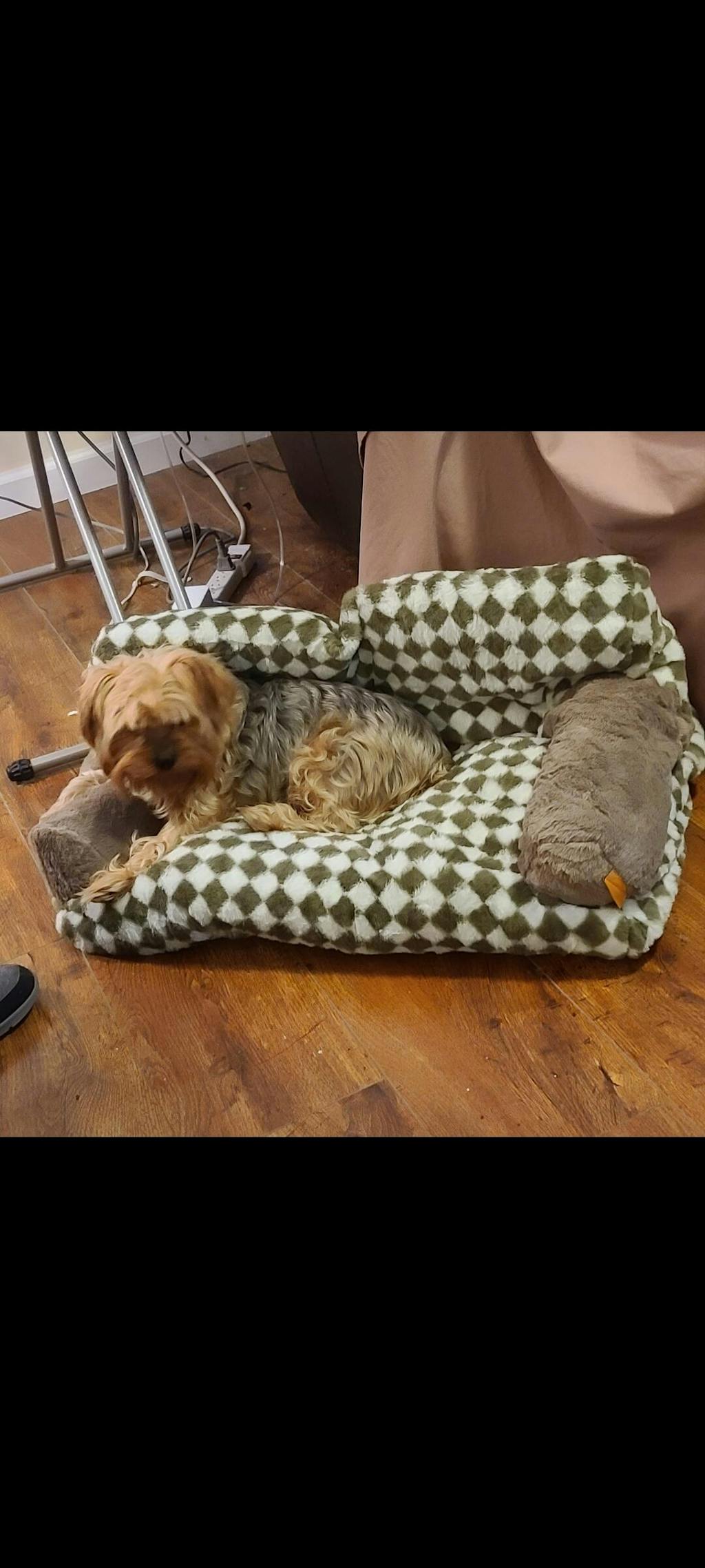 Vintage Leisure Diamond Cat Sofa Bed FunnyFuzzy