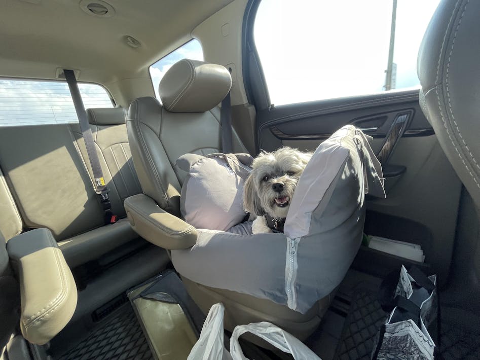 Oreilles d'ours lit de sécurité pour voiture pour animaux de compagnie lit  de siège de voiture pour chien