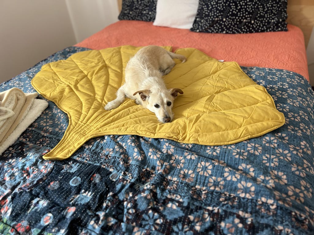Leaf Shape Dog Blanket With Donut Dog Bed Luxury Dog Gifts FunnyFuzzy