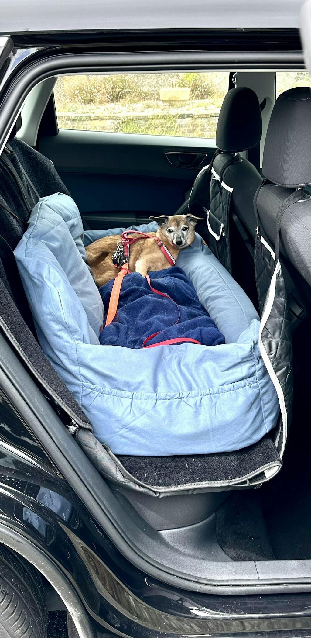 Travel Bolster Safety Medium Large Dog Car Back Seat Bed FunnyFuzzy