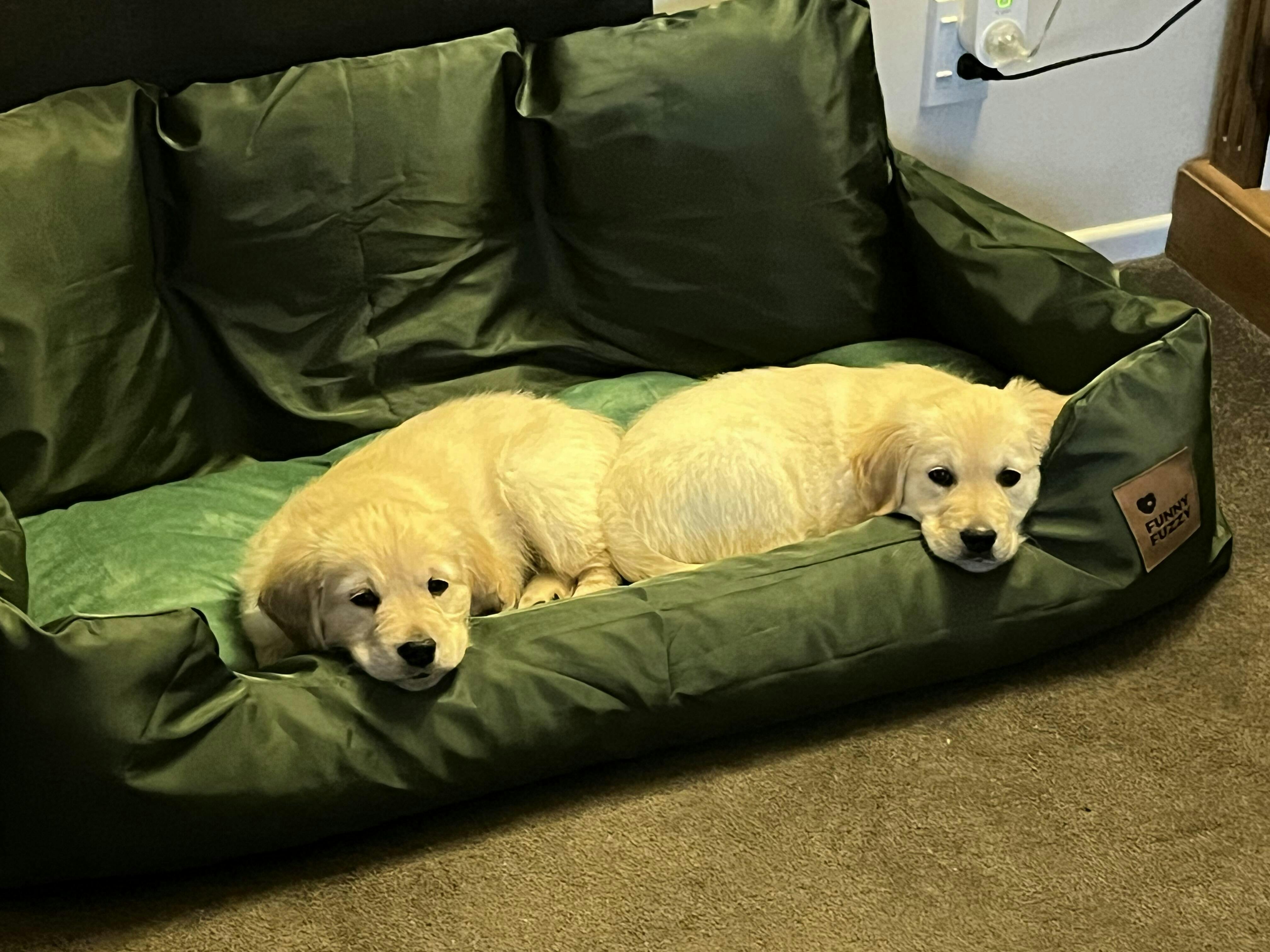 Travel Bolster Safety Dog Car Seat Bed Comfort Security For Large travel-bolster-safety-dog-car-seat-bed-comfort-security-for-large