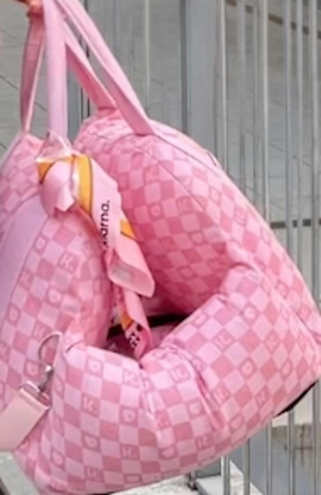 FUNNYFUZZY X Klarna Travel Safety Large Dog Car Seat Bed FunnyFuzzy