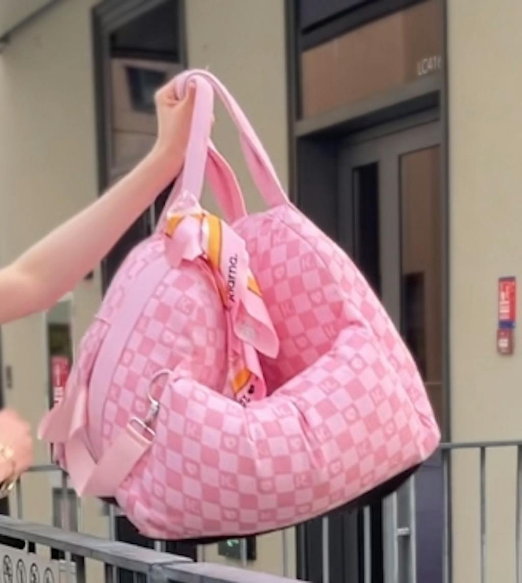 FUNNYFUZZY X Klarna Travel Safety Large Dog Car Seat Bed FunnyFuzzy