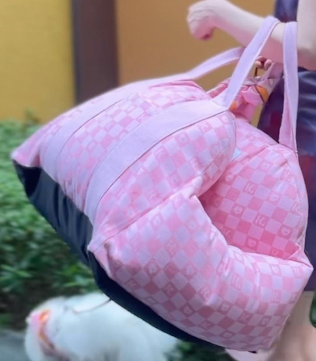 FUNNYFUZZY X Klarna Travel Safety Large Dog Car Seat Bed FunnyFuzzy