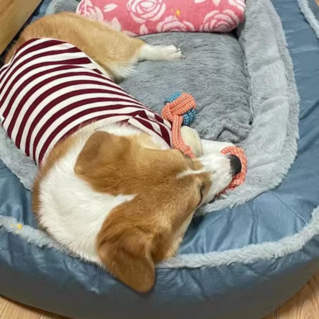 Ultimate Comfort Large Orthopedic Dog Bed Deep Sleep & Warmth for