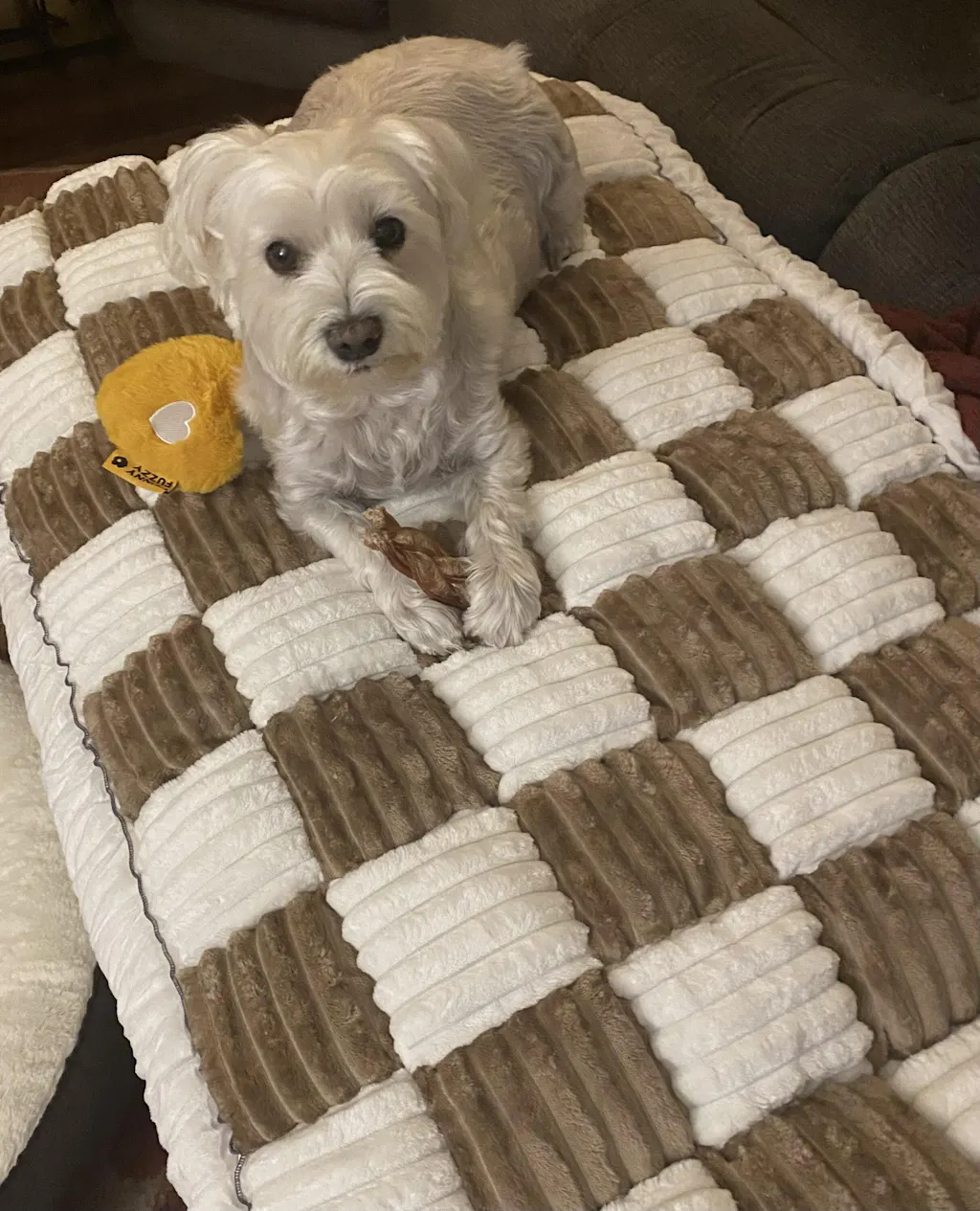 Cream-coloured Large Plaid Square Fuzzy Pet Dog Mat Bed Couch Cover ...