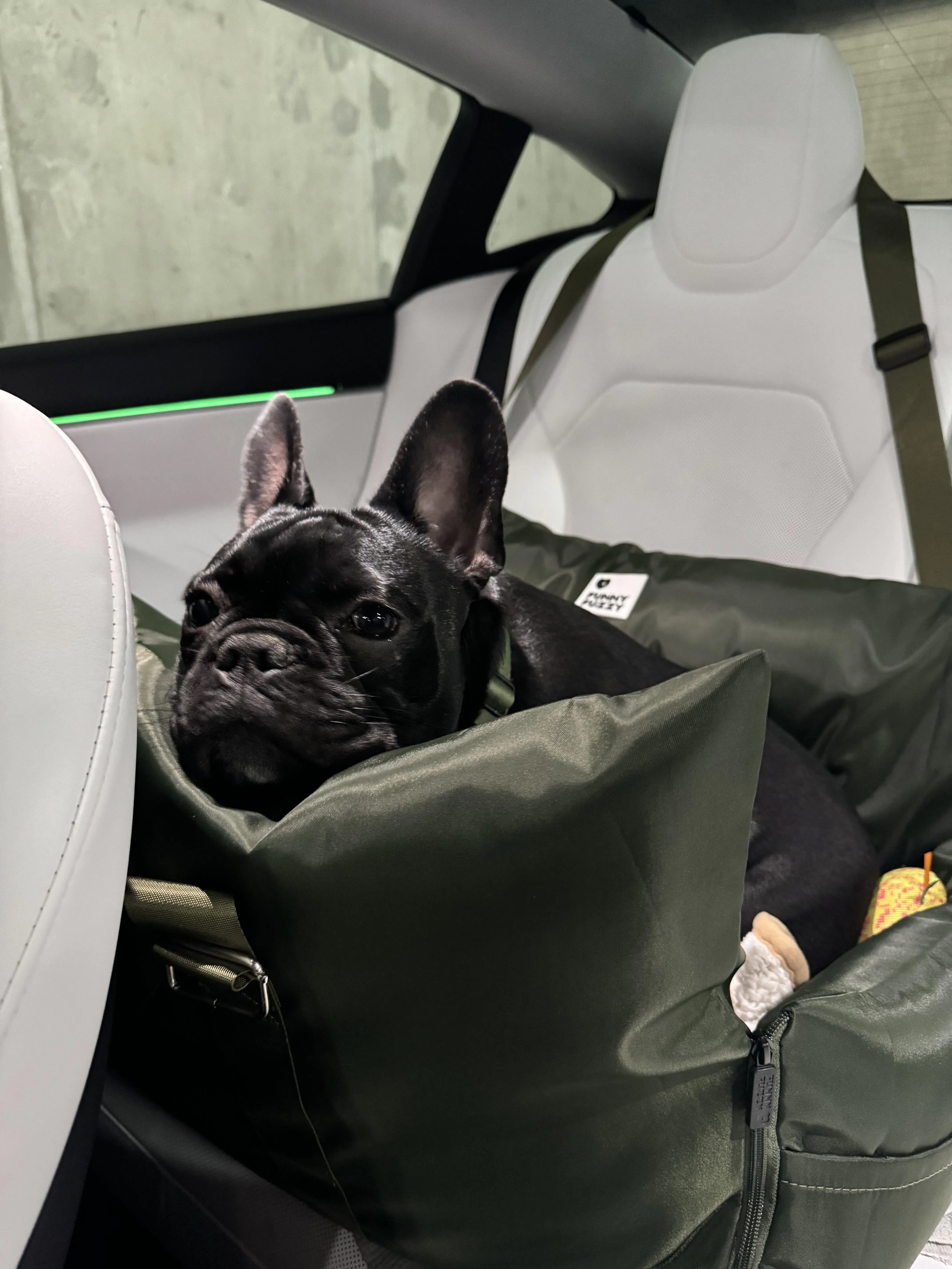 First Class Dog Car Seat Bed Comfortable & Safe Travel FunnyFuzzy — free download