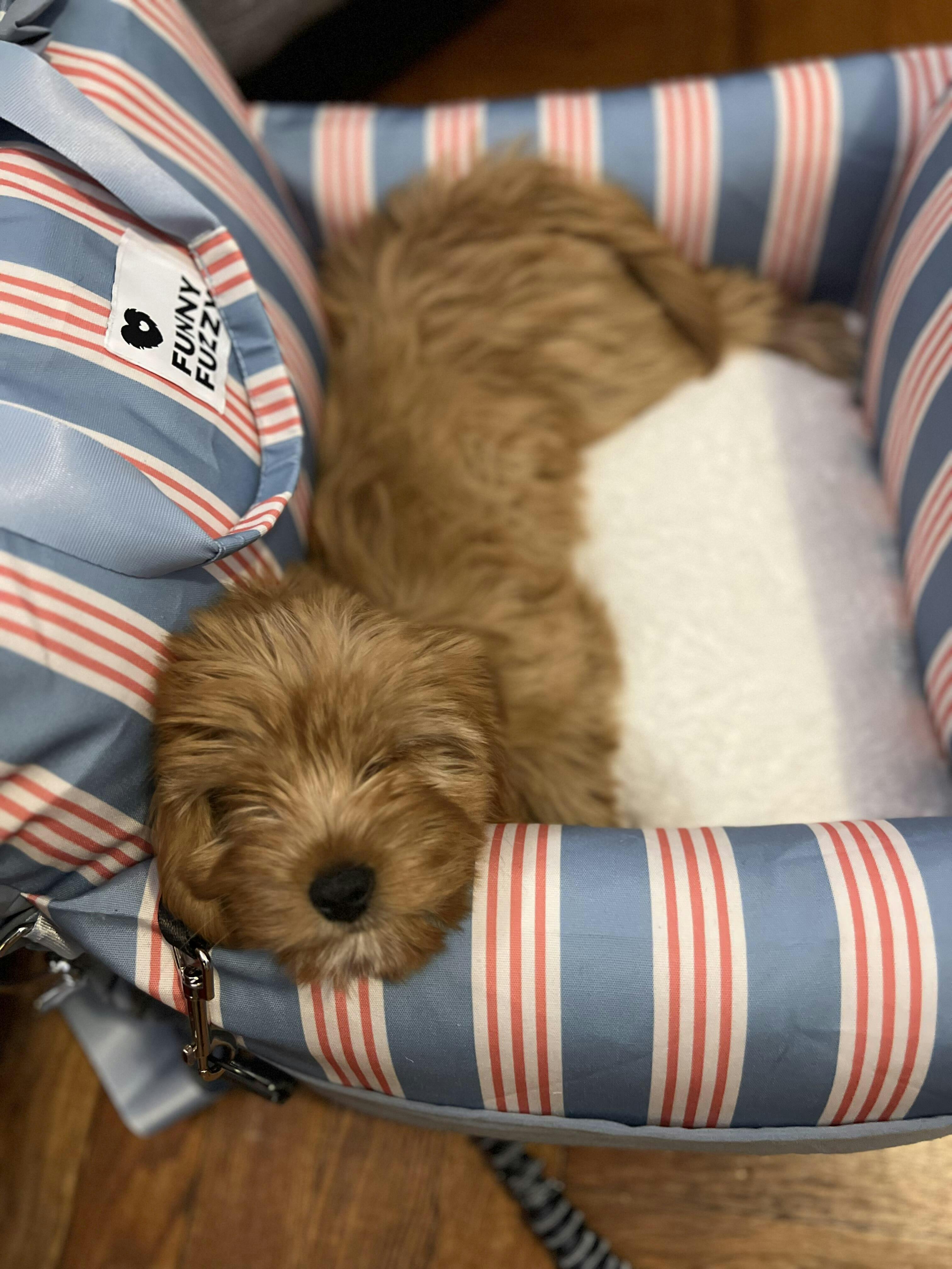 Dog Car Seat And Dog Bed , Cozy Car Seat For Pet, Stylsh Dog Car Seat
