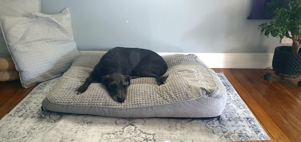 Customized Large Thick Scratch-resistant Spine Protection Dog Cushion Bed