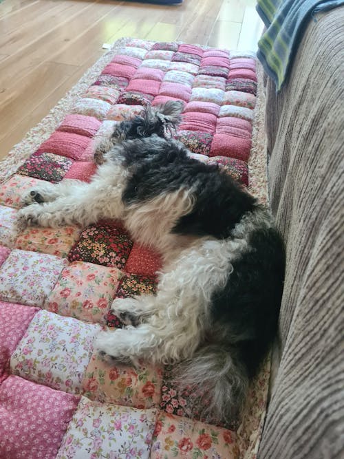 Lazy Soft Flannel Breathable Pet Mat Non-slip Couch Cover