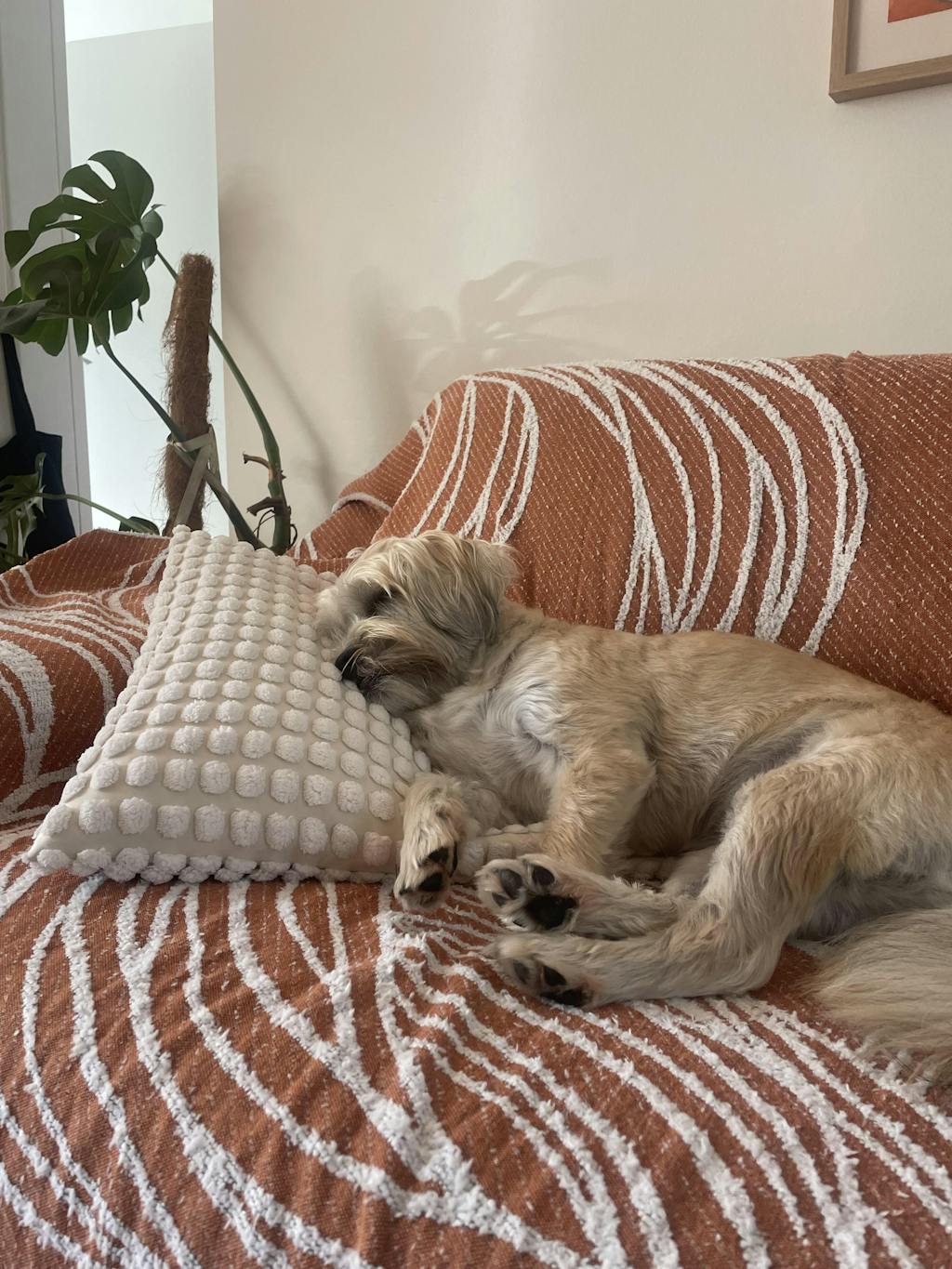 Minimalist Chenille Reversible Cat-Scratch Resistant Non-Slip Couch Cover