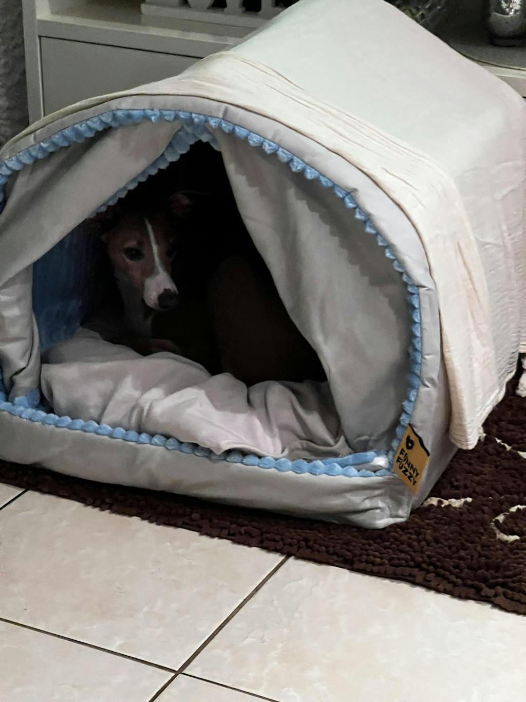 Double Curtain Pet House Enclosed Dog Bed
