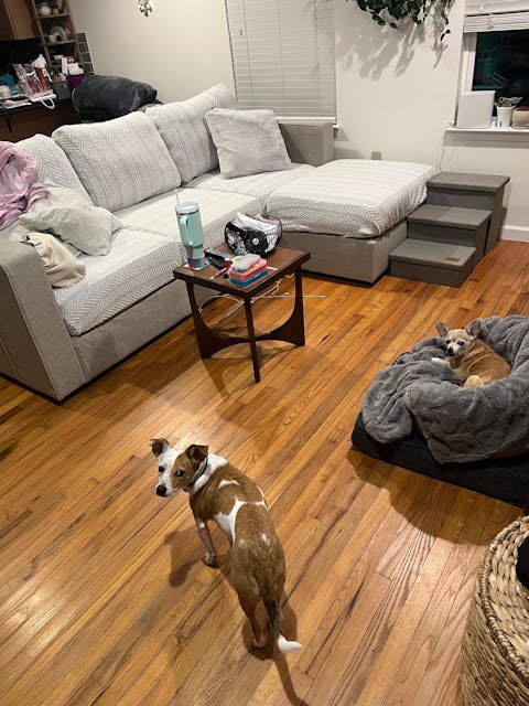 Herringbone Chenille Anti-Slip Magic Couch Cover