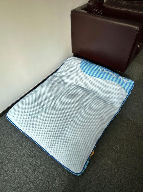Cama ortopédica para perros rectangular lavable y de enfriamiento extra grande - Siesta fresca