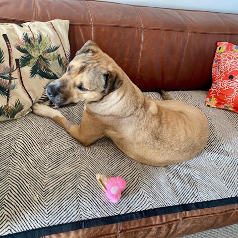 Irregular Tree Pattern Thick Chenille Couch Cover