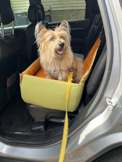 Elevated Faux Leather Deluxe Dog Car Seat Booster Bed - Urban Voyager
