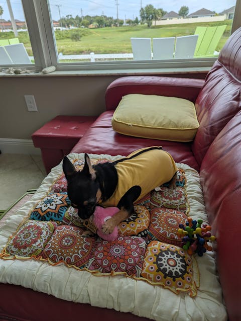 Garden Chic Cotton Protective Couch Cover