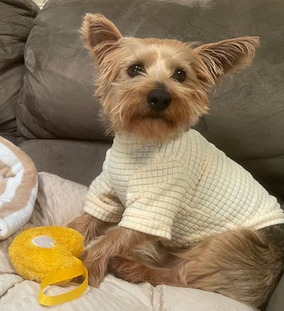 FUNNYFUZZY